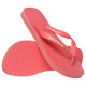 Havaianas Brasil Logo